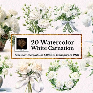 20 weiße Nelken Aquarell Clipart, transparente PNG, kostenlose kommerzielle Nutzung, Hochzeit Urlaub Clipart, Karte, Scrapbooking, Planer, Journals