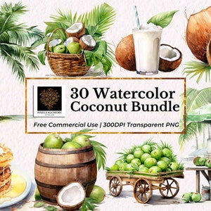 30 imágenes prediseñadas de acuarela de paquete de coco, PNG transparente, uso comercial GRATUITO, planificadores, tarjetas, diarios basura, scrapbooking, imágenes prediseñadas de frutas