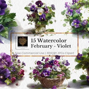 15 de fevereiro - Flores de nascimento violeta JPGs, PNGs, clipart de aquarela, fundo branco, planejadores, cartões, diários, scrapbooking, clipart de casamento