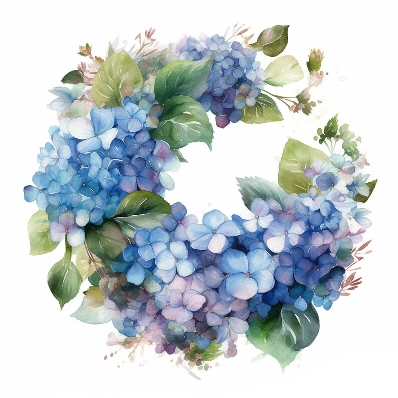 15 Blue Hydrangea Bundle Jpgs, Watercolor Clipart, on White Background