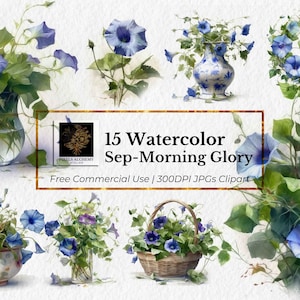 15 de septiembre Morning Glory Birth Flower JPGs, Imágenes Prediseñadas de acuarela, Fondo blanco, Boda, Planificadores, Tarjetas, Diarios basura, Scrapbooking
