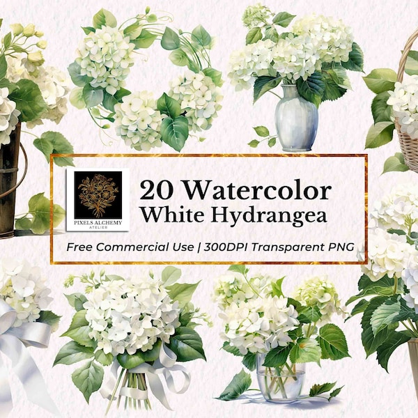 20 White Hydrangea Watercolor Clipart, Transparent PNG, FREE Commercial Use, Planners, Cards, Junk Journals, Scrapbooking, Wedding Clipart