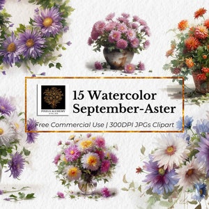 15 de septiembre - JPG de flores de nacimiento de aster, imágenes prediseñadas de acuarela, fondo blanco, uso comercial, planificadores, tarjetas, diarios basura, álbumes de recortes