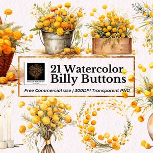 21 Billy Buttons Craspedia aquarel clipart, PNG, gratis commercieel gebruik, planners, kaarten, ongewenste tijdschriften, scrapbooking, bruiloft clipart