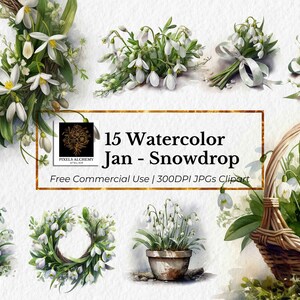 15 January-Snowdrop Birth Flower Watercolor Clipart, JPGs and Bonus PNGs, Planners, Cards, Junk Journals, Scrapbooking, Wedding Clipart