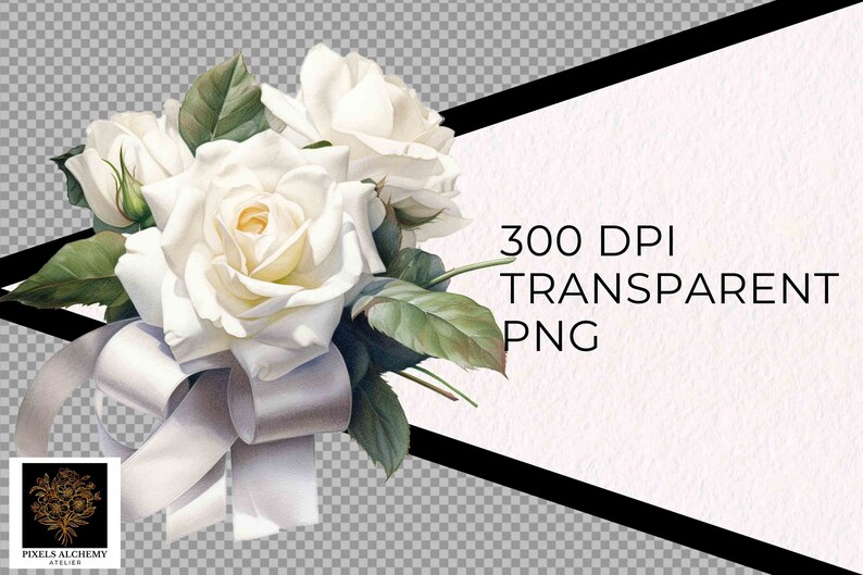 31 White Rose Bundle Watercolor Clipart, Transparent PNG, FREE ...