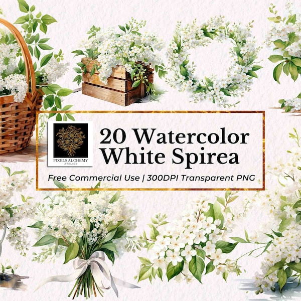 20 White Spirea Flowers Watercolor Clipart, PNG, FREE Commercial Use, Planners, Cards, Junk Journals, Scrapbooking, Wedding Clipart