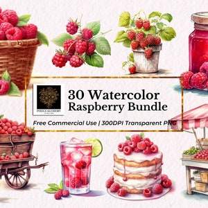 30 ラズベリー バンドル 水彩画 クリップアート、透明 PNG、無料商用利用、プランナー、カード、ジャンク ジャーナル、スクラップブッキング、フルーツ クリップアート