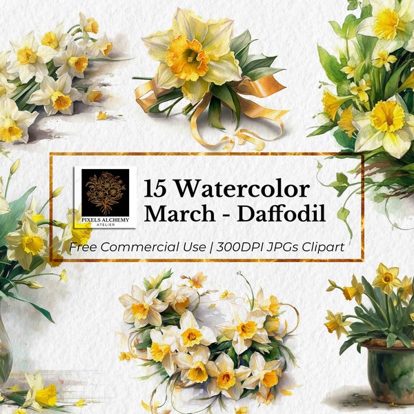 15 March - Daffodil Birth Flower JPGs, Watercolor Clipart, White Background, Planners, Cards, Junk Journals, Scrapbooking, Wedding Clipart