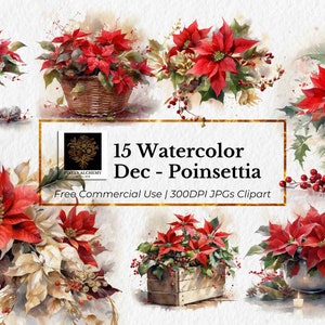 15 grudnia - Poinsettia Birth Flower JPGs, Clipart akwarelowy, Białe tło, Planer świąteczny, Dzienniki śmieci, Scrapbooking, Clipart ślubny