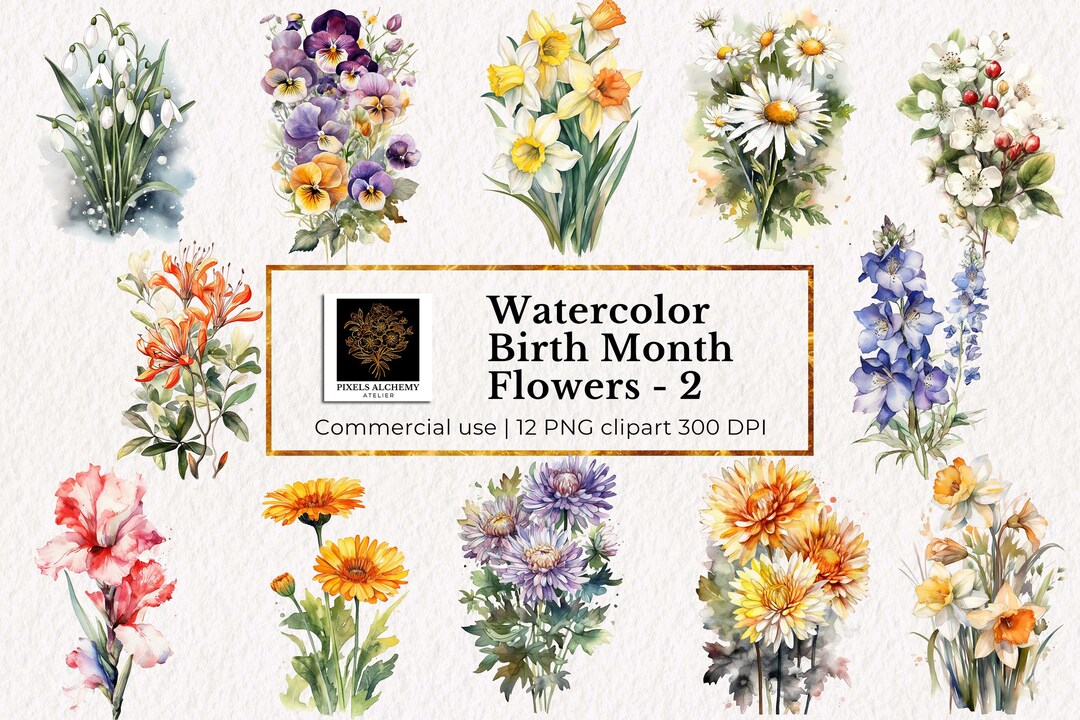 12 Watercolor Birth Month Flowers Clipart, 12 Transparent PNG for
