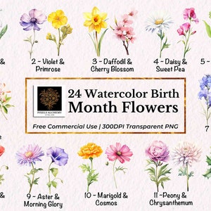 24 Conjunto de clipart de flores do mês de nascimento em aquarela, PNG, uso comercial GRATUITO, cartão, diário, álbum de recortes, planejador, casamento, feriado, projeto DIY