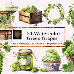 24 グリーン グレープ バンドル 水彩画 クリップアート、透明 PNG、無料商用利用、カード、ジャンク ジャーナル、スクラップブッキング、フルーツ クリップアート