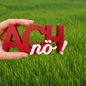 Könnte beinhalten: Eine Hand hält ein rotes Holzschild mit dem deutschen Satz "ACH nö!" in weißen Buchstaben. Das Schild befindet sich vor einem Hintergrund aus grünem Gras. Das Ausrufezeichen ist weiß.