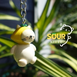 Personalized Cat & Dog Friendship Keychain: Handmade Polymer Clay Charm