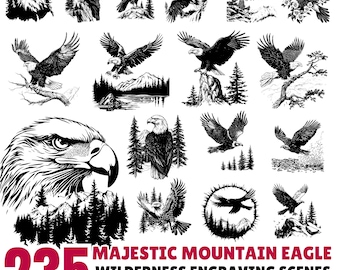 Mountain Eagle Engraving: Wilderness Scene SVG PNG PDF Files (Commercial Use)
