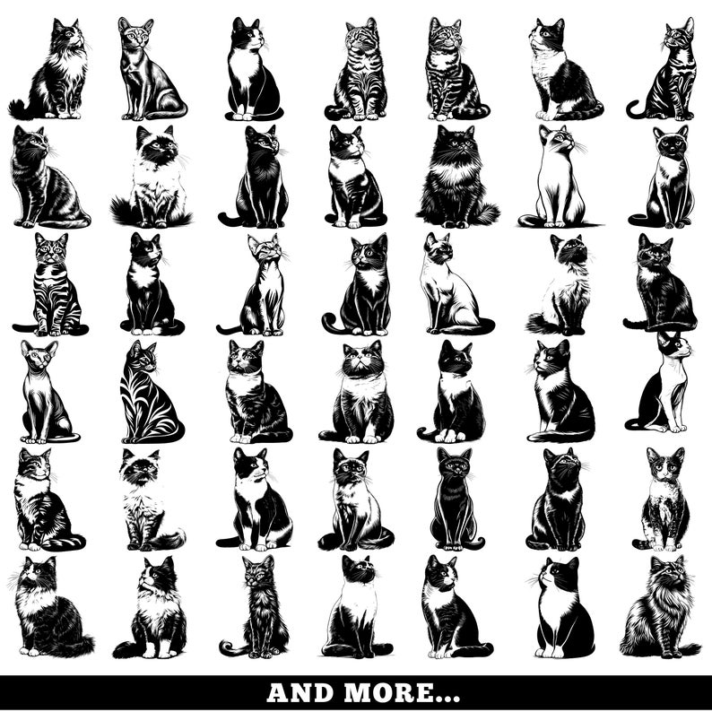 Sitting Cats Breed Clipart: SVG, PNG, PDF Files (…