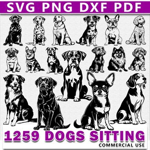 1250 Dogs Sitting Pose Cute Art Cricut Designs Svg Files Bundle Design ...