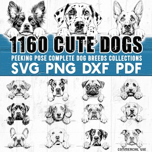 Könnte beinhalten: Ein digitaler Download von 1160 niedlichen Hundefiguren in einer Blickposition. Die Illustrationen sind in Schwarzweiß und perfekt zum Erstellen von Bastelarbeiten, Karten und anderen Projekten. Der Text "1160 CUTE DOGS" befindet sich oben im Bild, und der Text "PEEKING POSE COMPLETE DOG BREEDS COLLECTIONS" befindet sich darunter. Der Text "SVG PNG DXF PDF" befindet sich unten im Bild.