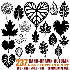 Hand-Drawn Autumn Leaf Outline Set Svg Png Pdf files bundle cricut cut files | instant download | Commercial use