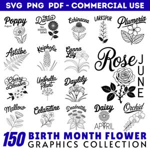 Birth Month Flower Collection Svg Png Pdf files bundle cut files | instant download | Commercial use