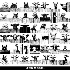 May include: Black and white illustration of various farm animals peering over a wooden fence. The image includes chickens, cows, sheep, goats, ducks, and more. The text "AND MORE..." is at the bottom.