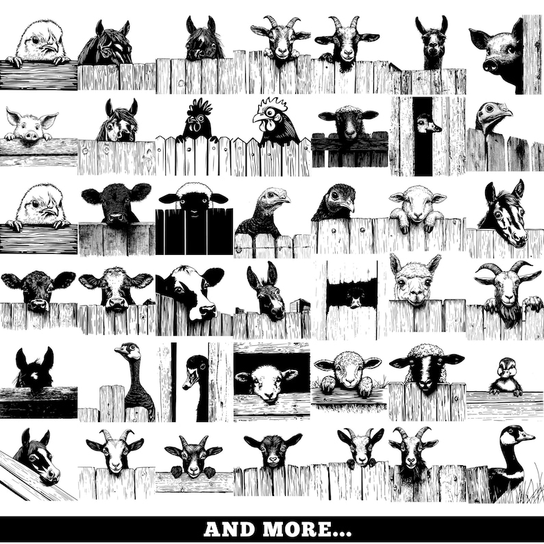 May include: Black and white illustration of various farm animals peering over a wooden fence. The image includes chickens, cows, sheep, goats, ducks, and more. The text "AND MORE..." is at the bottom.