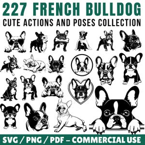 French Bulldog Cute Actions and Poses Collection Svg Png Pdf files bundle cricut cut files | instant download | Commercial use