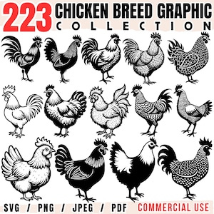 Hühnerzucht Grafiksammlung: SVG, PNG, PDF-Dateien (kommerzielle Nutzung, Cricut bereit)
