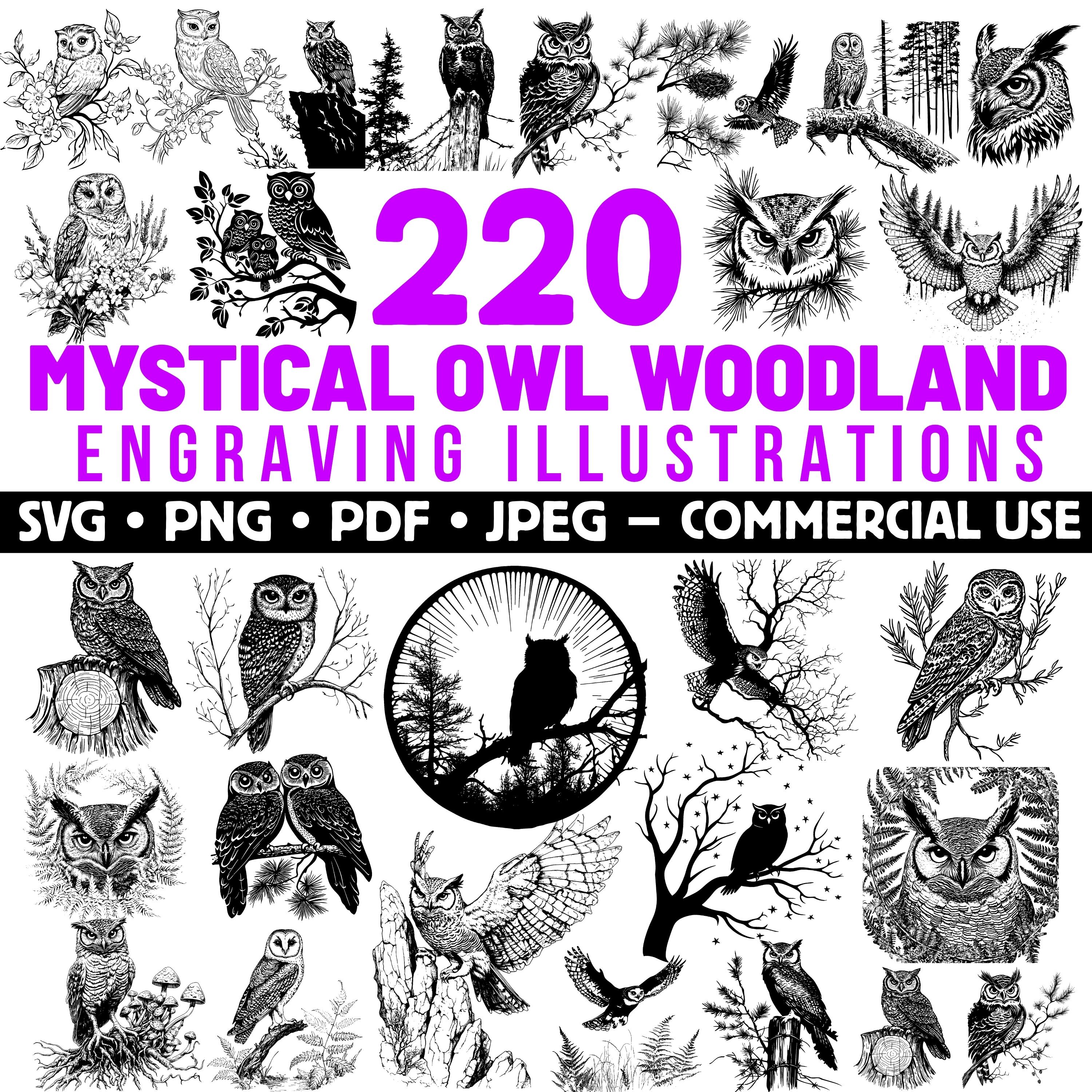 Owl Engraving Illustrations: Mystical Woodland Designs (SVG, PNG, PDF) Commercial Use
