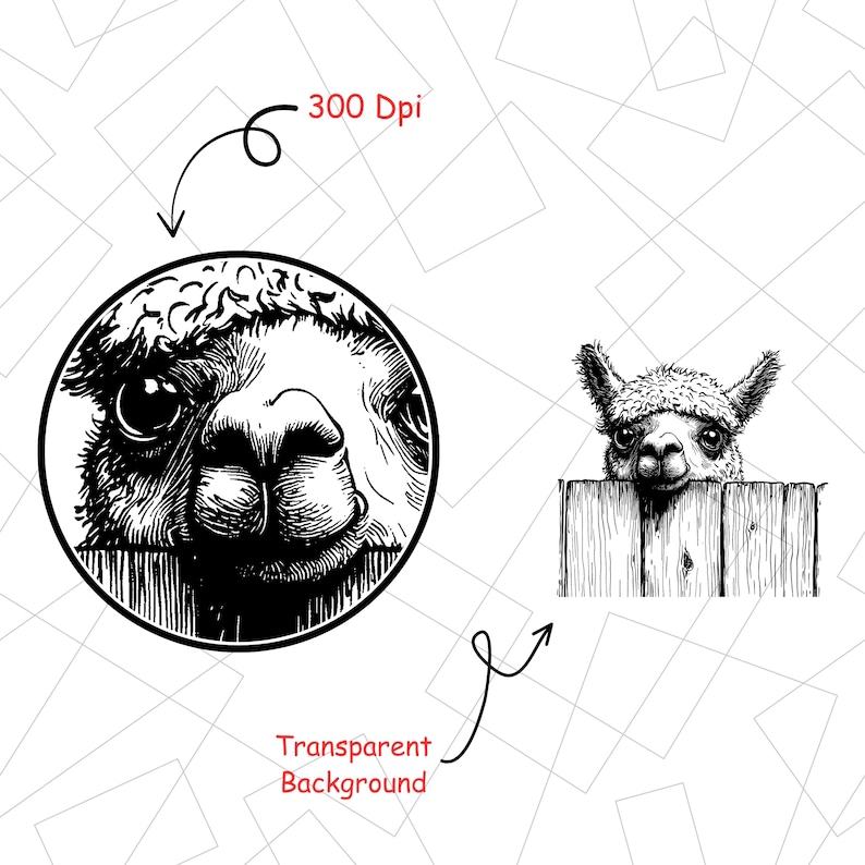 May include: Black and white illustration of an alpaca. One image shows the alpaca's face in a circle, the other shows the alpaca peeking over a wooden fence. The image is labeled "300 DPI" and "Transparent Background".