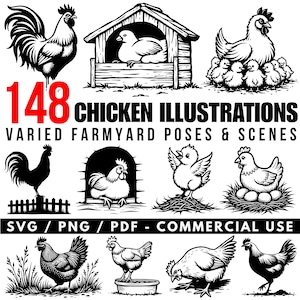 Chicken Illustrations SVG Bundle: Farmyard Poses, Commercial Use (Digital Download)