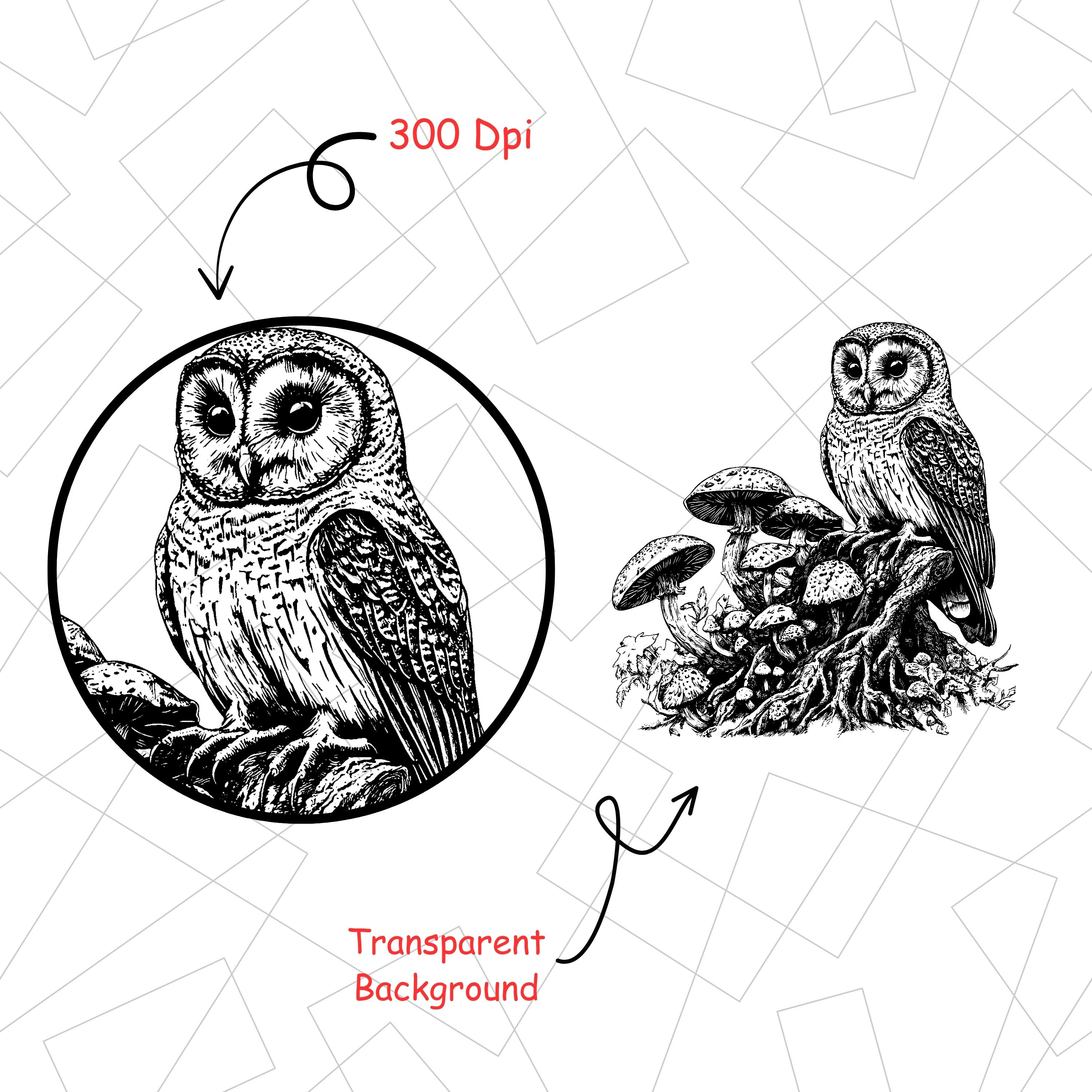 フクロウの彫刻イラスト：神秘的な森のデザイン（SVG、PNG、PDF）商用