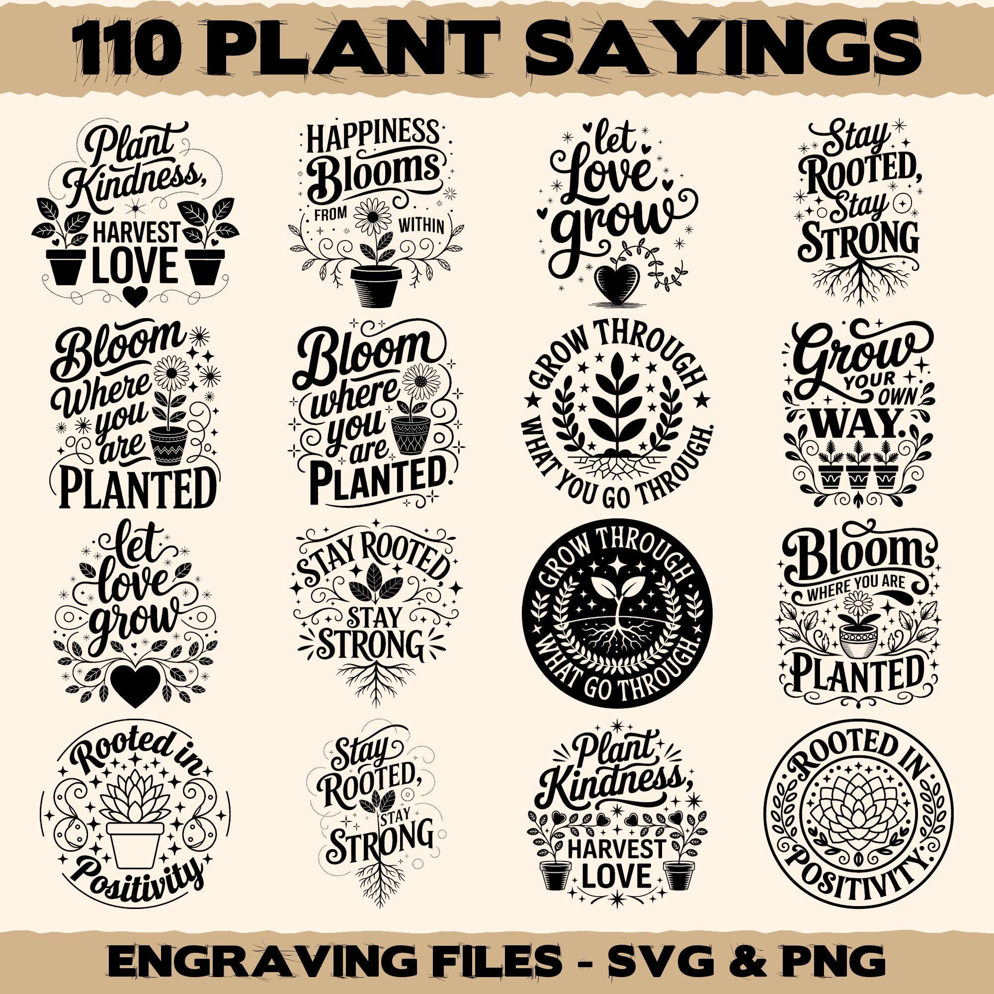 工芸品 At the end of the seed of kindness. . Bonsai Seed Kit Special Bundle | Eve's Garden Gifts