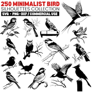 Minimalist Bird Silhouettes Collection Svg Png Pdf files bundle cricut cut files | instant download | Commercial use