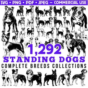 Standing Dogs complete breeds collections Svg Png Pdf files bundle cricut cut files | instant download | Commercial use