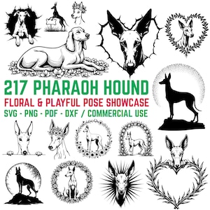 Pharaoh Hound Floral SVG Bundle: Playful Dog Design (Commercial Use)
