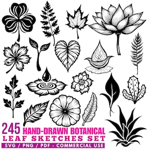 Hand-Drawn Botanical Leaf Sketches Set Svg Png Pdf files bundle cricut cut files | instant download | Commercial use