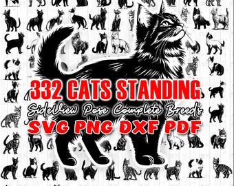 Katzenrassen SVG-Bundle 332 Katzensilhouette-Seitenansicht SVG DXF Png-Pdf-Dateien (Instant Downloads)