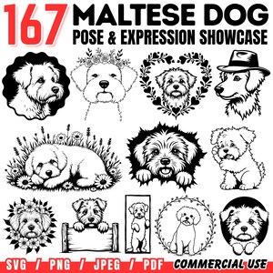Maltese Dog SVG Bundle: Commercial Use Cricut Cut Files (PNG, PDF)