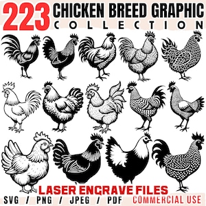 以下が含まれることがあります： 様々なポーズの15羽の白黒の雄鶏のイラストのコレクション。画像には「223 CHICKEN BREED GRAPHIC COLLECTION」と「LASER ENGRAVE FILES」のテキストが含まれており、ファイルの種類はSVG、PNG、JPEG、PDFです。「COMMERCIAL USE」の文字も含まれています。