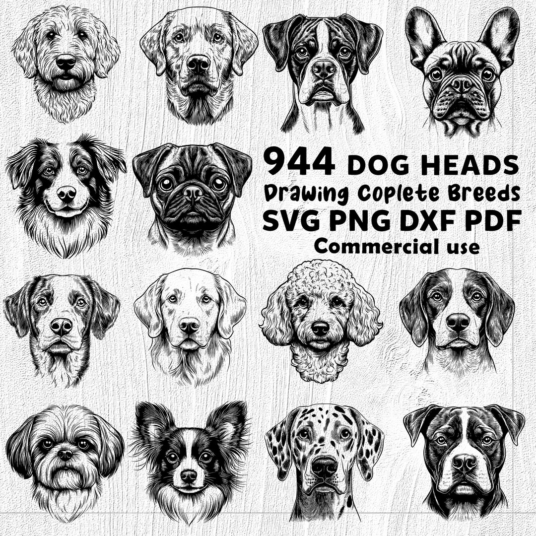 Dog 944 Heads Drawing Complete Breeds Cut File Designs Svg Files Bundle ...