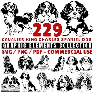 Cavalier King Charles Spaniel-Grafiken: SVG, PNG, PDF-Dateien (kommerzielle Nutzung, Sofort-Download)