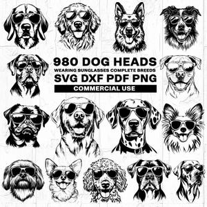 Cachorro 980 cabeças usando óculos de sol raças completas corte arquivos designs Svg arquivos Bundle Design Svg Dxf Png Pdf - downloads