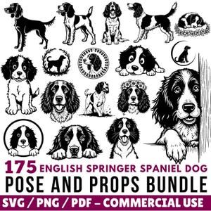 English Springer Spaniel SVG Bundle: Dog Pose Cut Files (Commercial Use, Digital Download