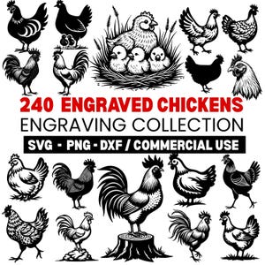 Engraved Chickens Graphic Collection Svg Png Pdf files bundle cricut cut files | instant download | Commercial use