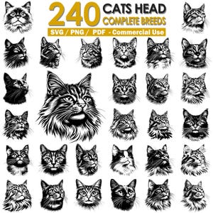 Cats Head Breeds SVG Bundle: Commercial Use (PNG, PDF Files Included