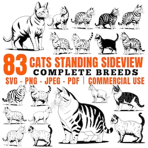 Cats standing sideview complete breeds Svg Png Pdf files bundle cricut cut files | instant download | Commercial use