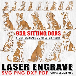 May include: A collection of 959 side-view sitting dog illustrations in a variety of breeds. The text "959 Sitting Dogs" and "Sideview Pose Complete Breeds" is displayed above the images. The text "Laser Engrave" is displayed below the images. The text "SVG PNG DXF PDF Commercial Use" is displayed below the text "Laser Engrave".