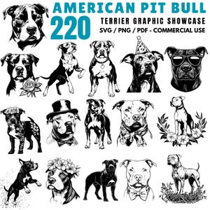 American Pit Bull Terrier Graphic Showcase Svg Png Pdf files bundle cricut cut files | instant download | Commercial use